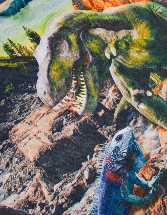 Monsoon erkek çocuk dijital baskılı dinozor sahne tişörtü JH86BT2271 Giyim mavi