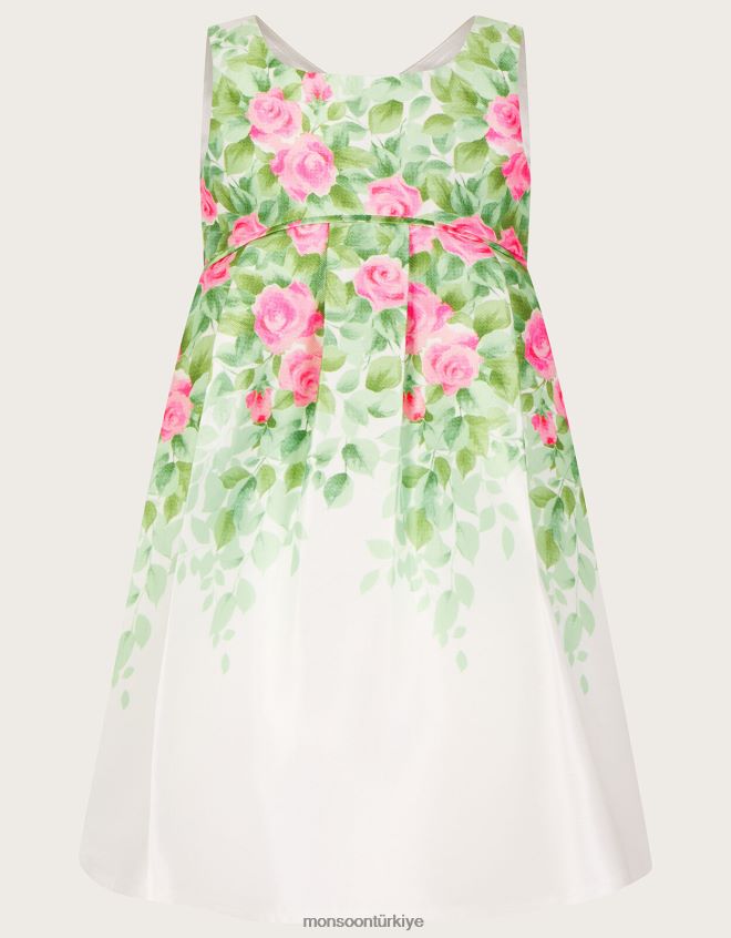 Monsoon kız bebek botanik desenli gül düşes elbisesi JH86BT2099 Giyim fildişi