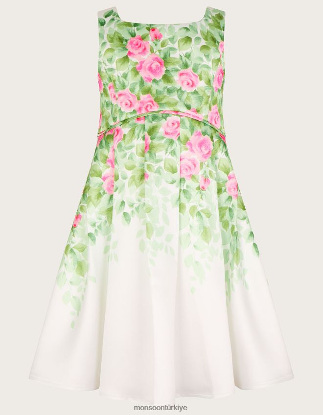 Monsoon kız botanik desenli gül düşes elbisesi JH86BT1816 Giyim fildişi