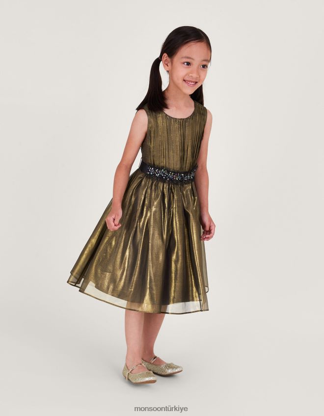 Monsoon kız harikalar diyarı ışıltılı organze elbise JH86BT1567 Giyim çok