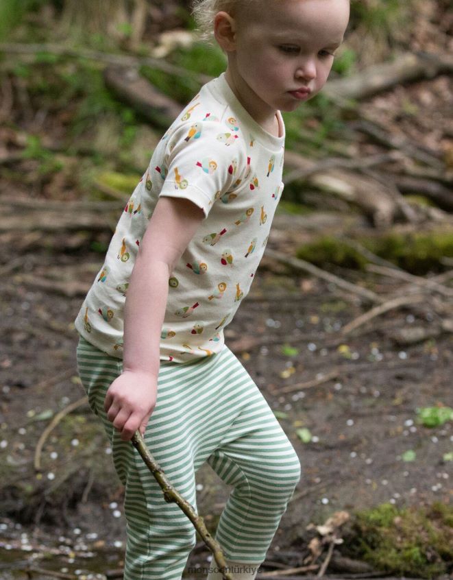 Monsoon çocuklar küçük yeşil radikaller küçük kuş tişörtü ve koşucu oyun seti JH86BT1984 Giyim çok