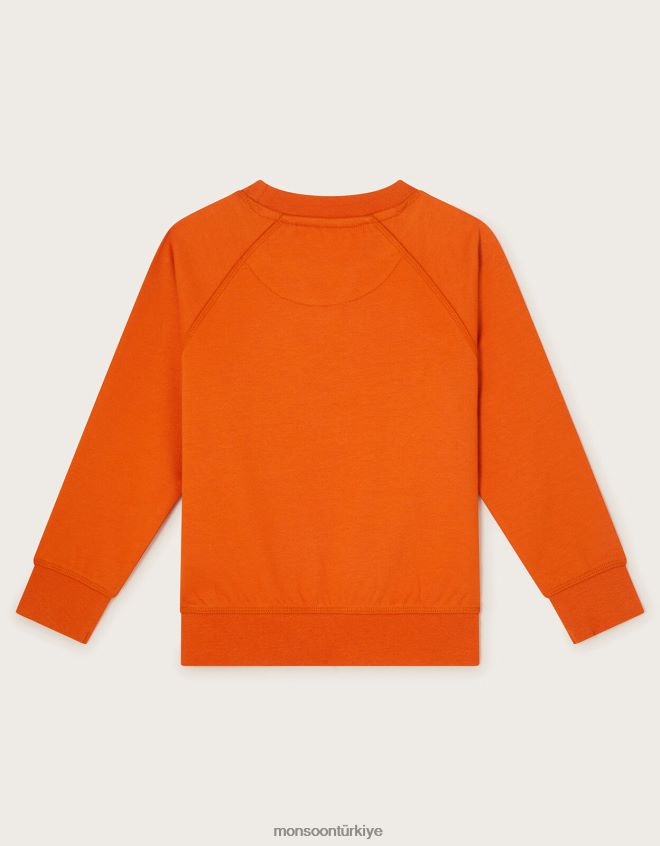 Monsoon erkek çocuk canavar mürettebat boyunlu kazak JH86BT2189 Giyim turuncu